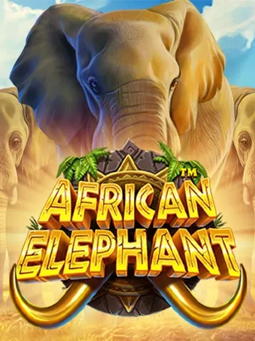 African Elephant